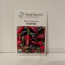 Black Hungarian Pepper (Hot), Organic